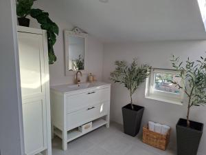 a bathroom with a sink and a mirror and two plants at Arturana turismo in Ollauri +24 photos