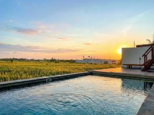 a pool in the middle of a field with the sunset at Kalyana Gangga in Krambitan