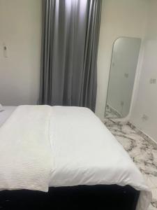 a bedroom with a white bed and a mirror at Apartment 67 in Akinyele