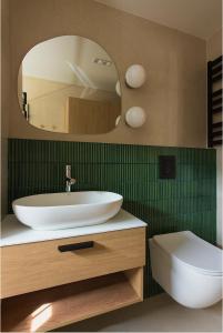 a bathroom with a sink and a mirror and a toilet at Ґонт - затишний будинок з чаном біля Буковелю in Tatariv +25 photos