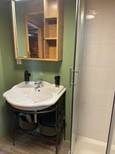 a bathroom with a sink and a shower at Mayen unique et authentique in Vernamiège +37 photos