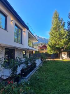 a house with a yard with plants inpots at Solaris Zenith View in Buşteni