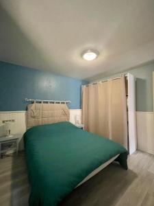 a bedroom with a green bed and a blue wall at Les crocus in Roubion
