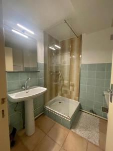 a bathroom with a sink and a shower and a tub at Les crocus in Roubion +5 photos