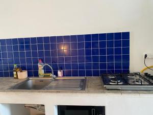 a kitchen with a sink and a blue tile wall at Birdhouse Sidi Bou Said in Dar Mimoun Bey