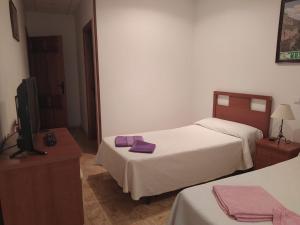 a hotel room with two beds and a television at Pensión El Chalet in Torrejoncillo del Rey