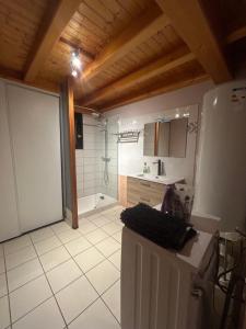 a kitchen with a refrigerator and a shower in it at Gîtes de Charme en Isère in Sonnay +57 photos