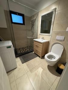 a bathroom with a toilet and a sink and a shower at Apartment Pitesti in Piteşti +12 photos