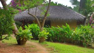 Zahrada ubytování Mangrove Beach Cabana