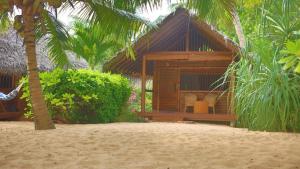 Zahrada ubytování Mangrove Beach Cabana