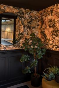 a wall with a mirror and plants in a room at Hôtel Le Griffon d'Or in Bourg-en-Bresse