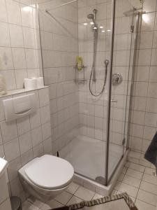 a white bathroom with a shower and a toilet at Appartement Silvia in Ammerbuch