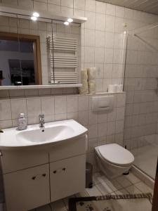 a bathroom with a sink and a toilet and a mirror at Appartement Silvia in Ammerbuch