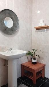 a bathroom with a sink and a mirror and a plant at Urban Farm Haus Guesthouse in Rundu +55 photos
