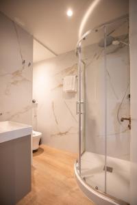 a bathroom with a shower and a toilet at Parnell Corner Apartments in Dublin +110 photos