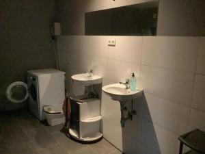 a bathroom with a toilet and a sink and a mirror at Adler in Kraichtal