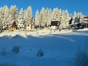 a group of people standing in the snow near trees at Vila Beganovic in Šišava