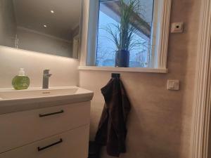 a bathroom with a sink and a window with a potted plant at New Central Apartment in Östhammar