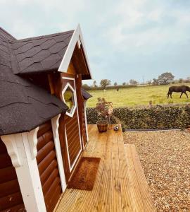 a small dog house with a horse in a field at Cosy Cabin - Near Belfast International Airport in Aldergrove