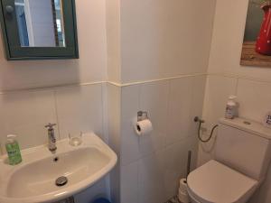 a bathroom with a sink and a toilet and a mirror at BlauweBoshuis in Koekange