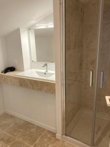 a bathroom with a sink and a shower at Le Patio de l'Isle 2nd Duplex in Périgueux