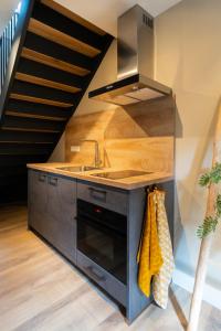 a kitchen with a sink and a stove at Schoapdiek Huuskes in Overdinkel +13 photos