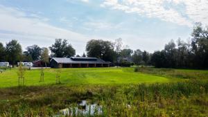 a large field with a barn in the distance at Schoapdiek Huuskes in Overdinkel