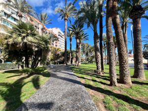 a path through a park with palm trees at HOSTEL Pepper-Gold -STEP-FREE ENTRANCE -car- free Space-no nois-3 minutes from Port -BED ROOMS 8 GUEST 55 M2 AND 8 GUEST 65 M2 in Alicante