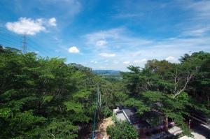 a view of a forest of trees with a sky at 貓頭鷹森林民宿 in Zhushan