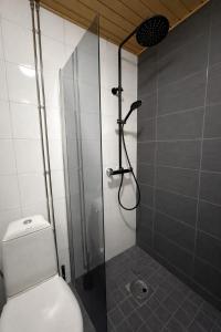 a bathroom with a toilet and a glass shower at Tammer Huoneistot - City Suite 2 - City View & Perfect location in Tampere +9 photos