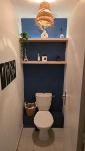 a bathroom with a toilet and a blue wall at Appartement, Calme, Cosy et Balcon in Châteauroux +4 photos