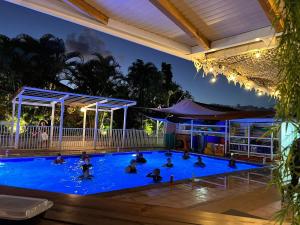 a group of people in a swimming pool at night at Le fil à eau 2 pièces centre sud in Rivière-Salée