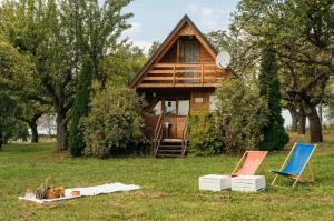 a cabin with two chairs and a dog on the grass at Mała Toskania in Kawec