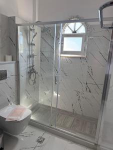 a bathroom with a shower and a toilet at Regina Nina in Vasilátika +44 photos