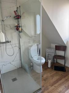 a bathroom with a toilet and a glass shower stall at Reve dOpale in Étaples +10 photos
