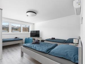 a bedroom with two beds and a flat screen tv at Resort Alpalouka in Špičák