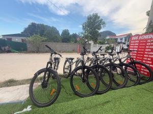 a row of bikes parked on the grass at Trang An Green Retreat Homestay in Ninh Binh