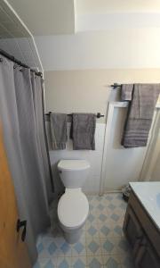 a bathroom with a toilet and a shower with towels at Roaring Fork Chalet in Burnsville +28 photos