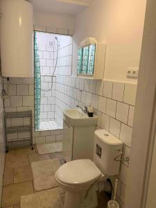 a bathroom with a toilet and a sink at Apartmans ZBYTINY 21 in Zbytiny +35 photos