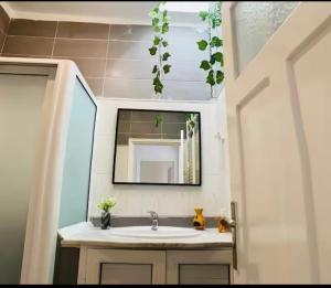 a bathroom with a sink and a mirror at Studio Authentique à Sidibousaid in Dar Salah Bey