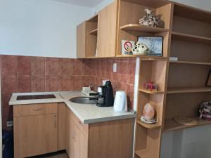 a small kitchen with wooden cabinets and a sink at Enikő vendegház in Praid