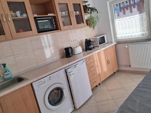 a kitchen with a washer and a washing machine at Enikő vendegház in Praid