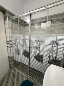 a glass shower with potted plants in a bathroom at Guest House Flowers in Berat +43 photos