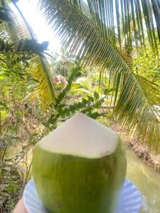 a green bowl sitting on top of a plate at Homestay Vườn Dừa in Ấp Nhứt (1)