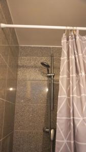 a shower in a bathroom with a shower curtain at Zentrales Apartment Lichtenfels in Lichtenfels