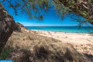 a beach with people on the sand and the ocean at Residence Salento Fronte Mare - Coste del Sud it in Torre San Giovanni Ugento