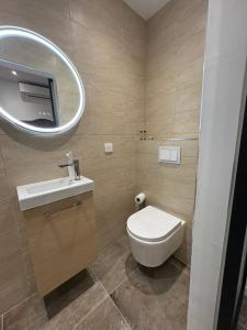 a bathroom with a toilet and a sink and a mirror at Appartement plein centre avec jardin de 40m2 près des plages in Propriano +2 photos