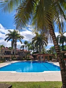 a palm tree next to a swimming pool at Hotel MarBrissa in Puerto Barrios