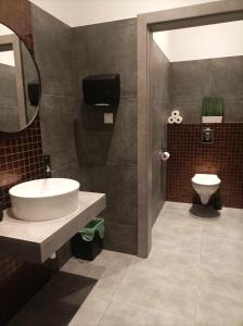 a bathroom with a sink and a toilet at MoryńApartments R20 in Moryń +31 photos