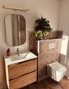a bathroom with a sink and a toilet and a mirror at La demeure des vignes in Murato +43 photos
